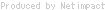 Homepage construction Netimpact